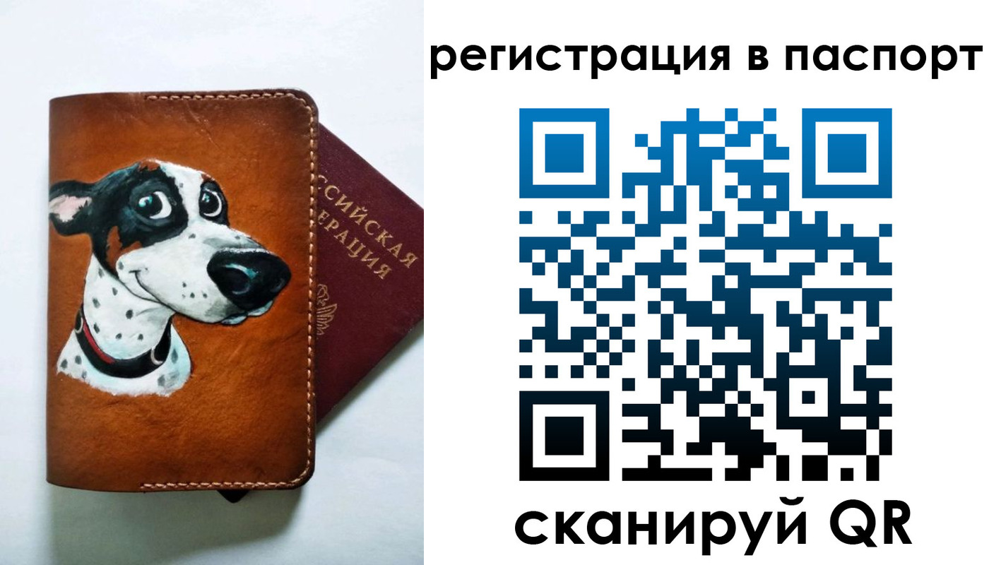 прописка штамп в Светлом
